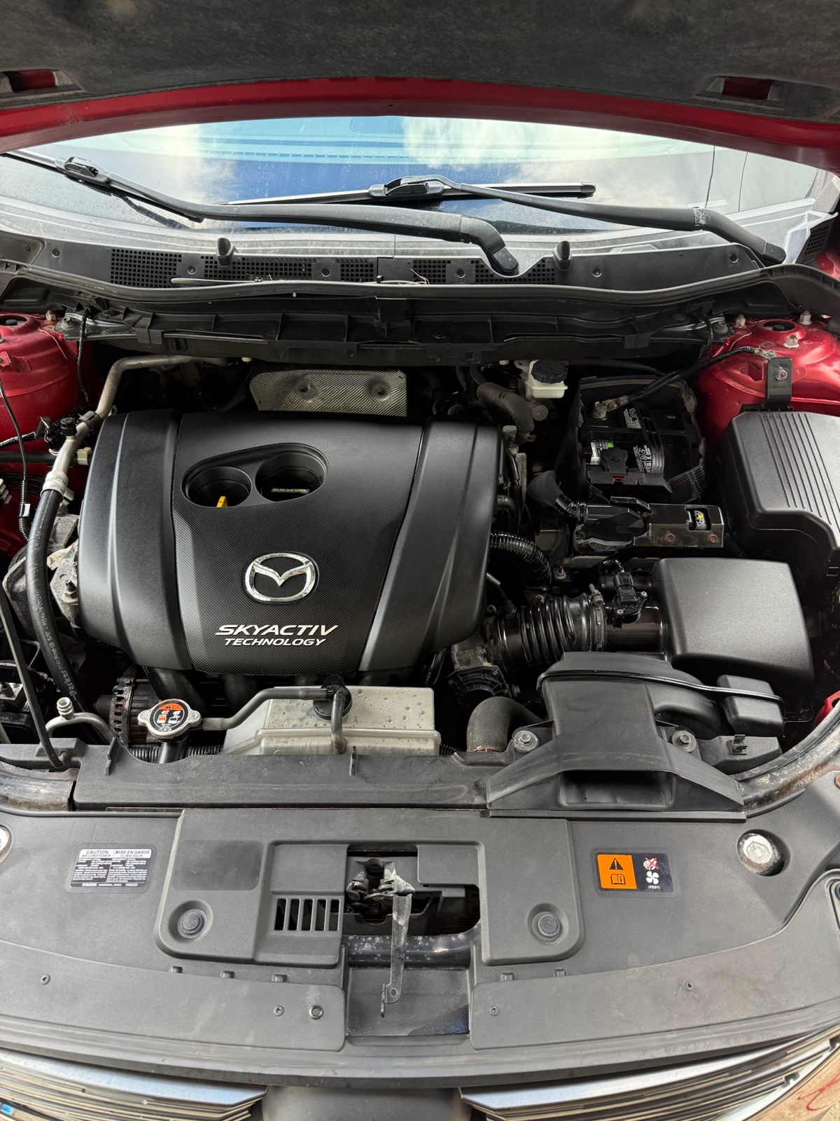 Engine bay cleaned and dressed